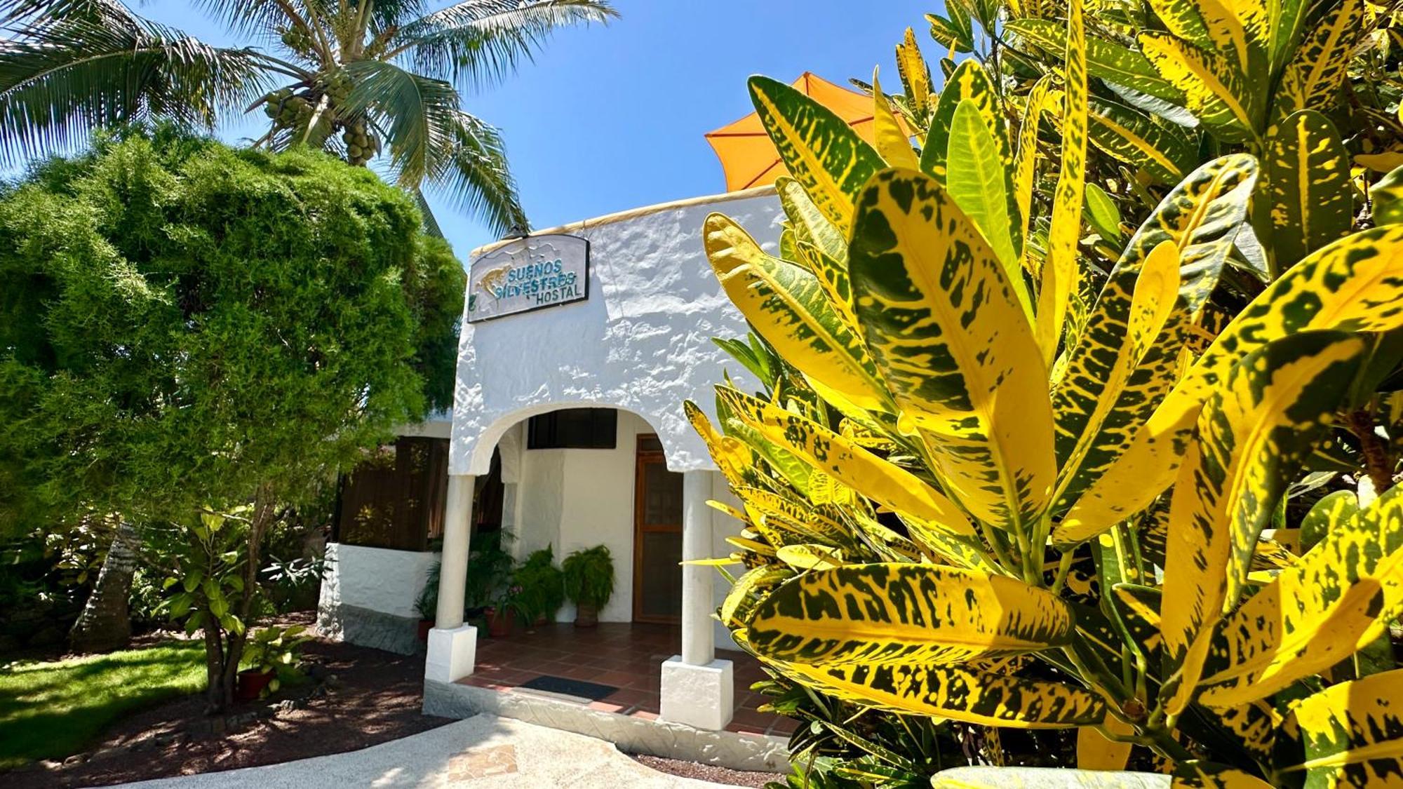 Hostal Suenos Silvestres ปูแอร์โตอาโยรา ภายนอก รูปภาพ