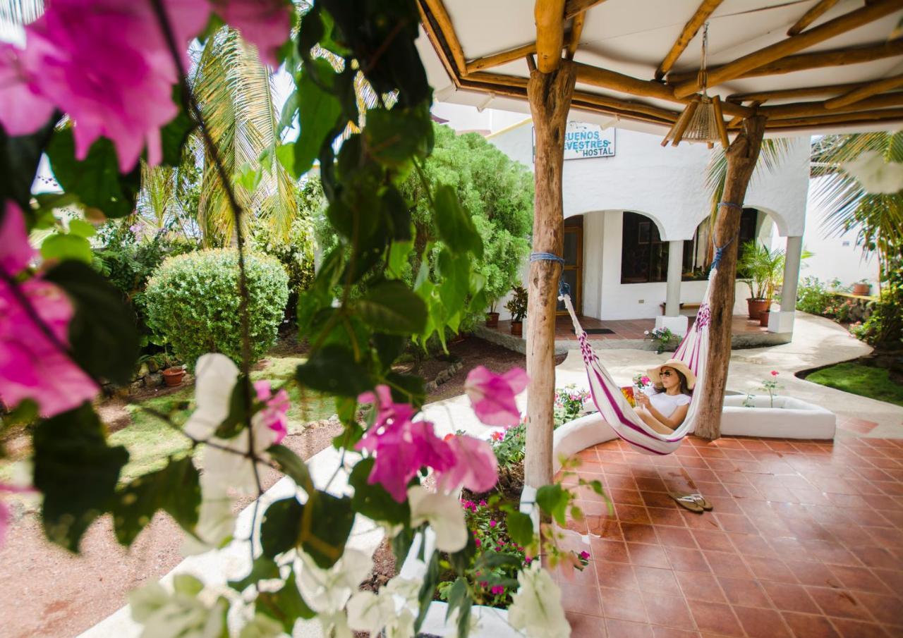 Hostal Suenos Silvestres ปูแอร์โตอาโยรา ภายนอก รูปภาพ